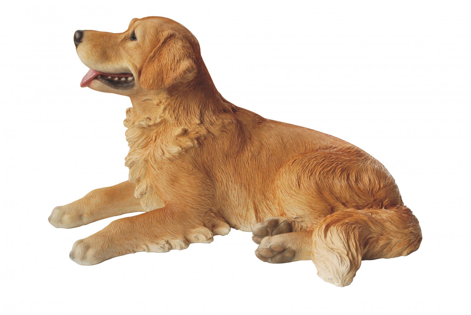 Golden Retriever Laying Down - Smith's Orchard Garden Centre